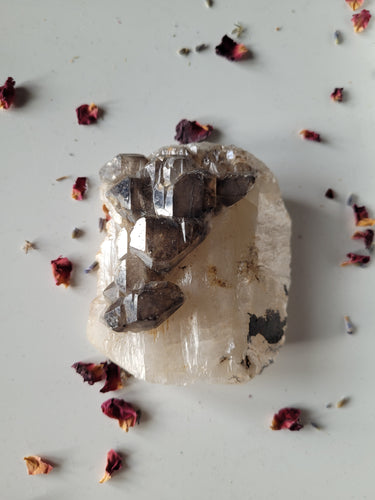 Smokey Quartz Elestial Specimen