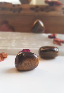 Large Tigers Eye Tumblestone