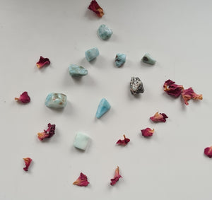 Larimar Chips